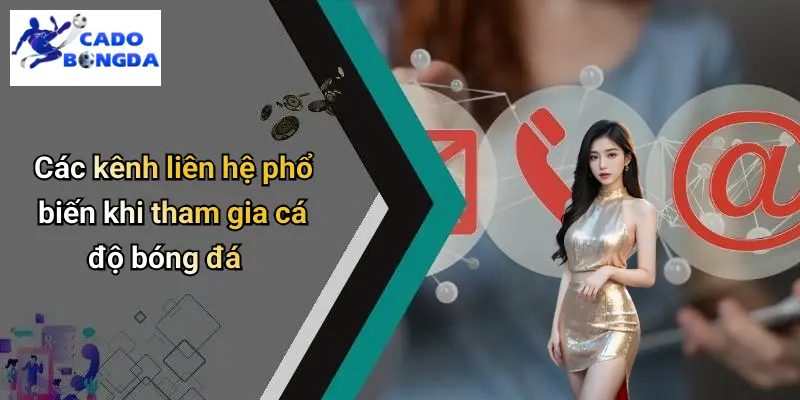 Liên hệ 2 Liên hệ