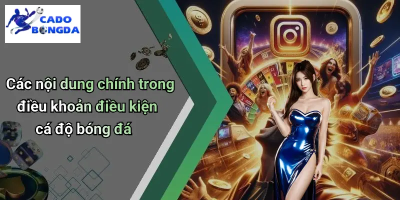 Điều Khoản Điều Kiện