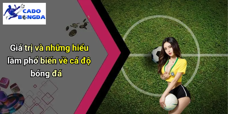 Giới Thiệu