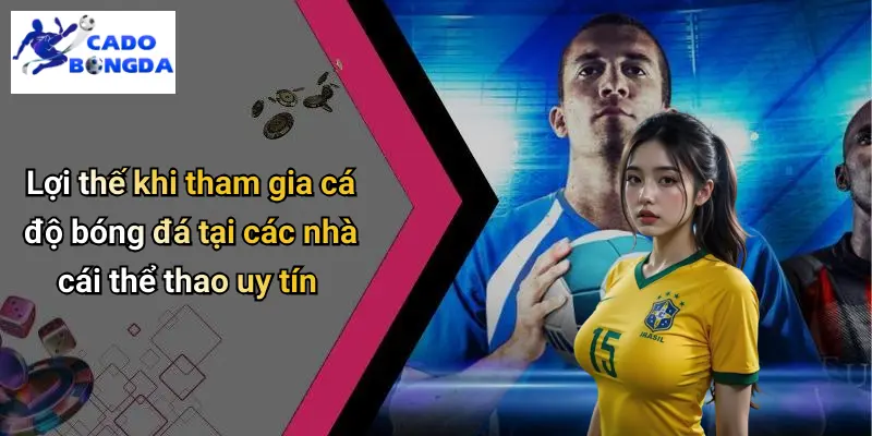 Top 10 Nhà Cái Thể Thao