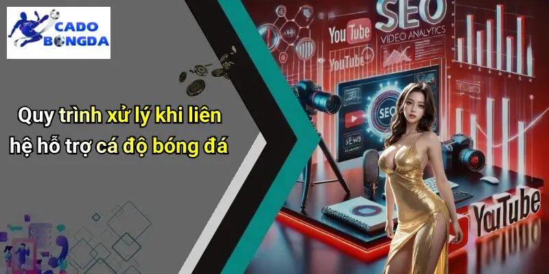 Liên hệ 3 Liên hệ