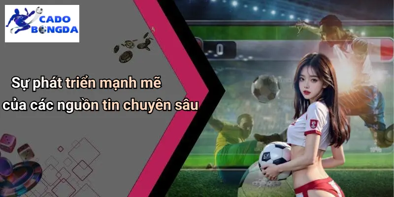 Tin Tức Bóng Đá