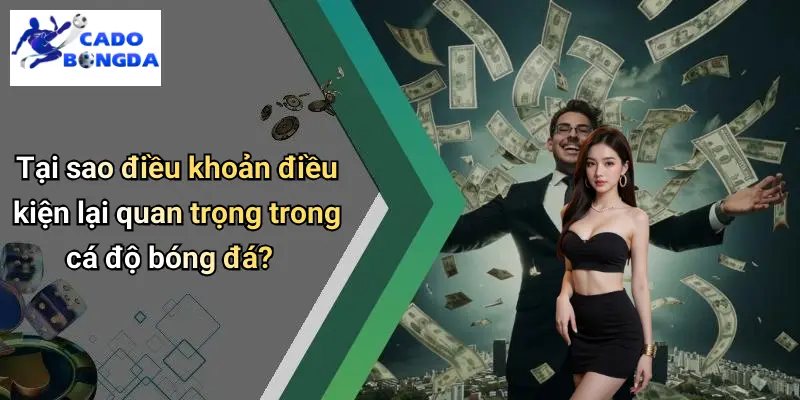 Điều Khoản Điều Kiện