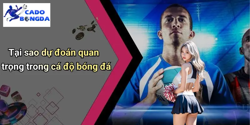 Dự Đoán