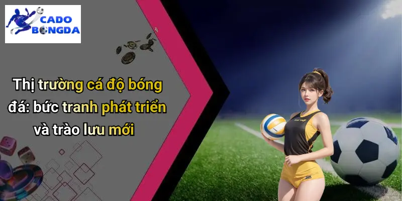 Cá Độ Bóng Đá