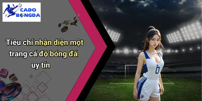 Cá Độ Bóng Đá