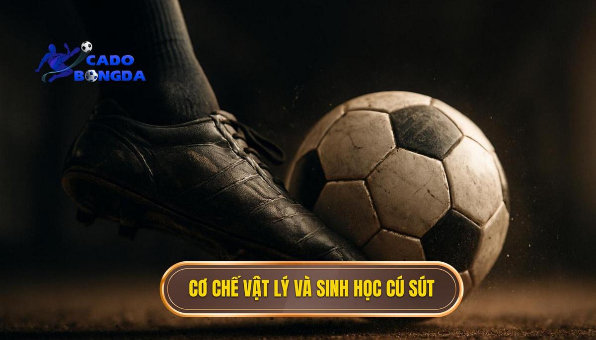 Cơ chế vật lý và sinh học của cú sút bằng đầu gối