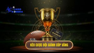 Kèo cược đội giành cúp vàng