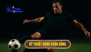 Kỹ thuật đánh chặn bóng