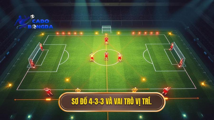 2. So do 4 3 3 va vai tro vi tri