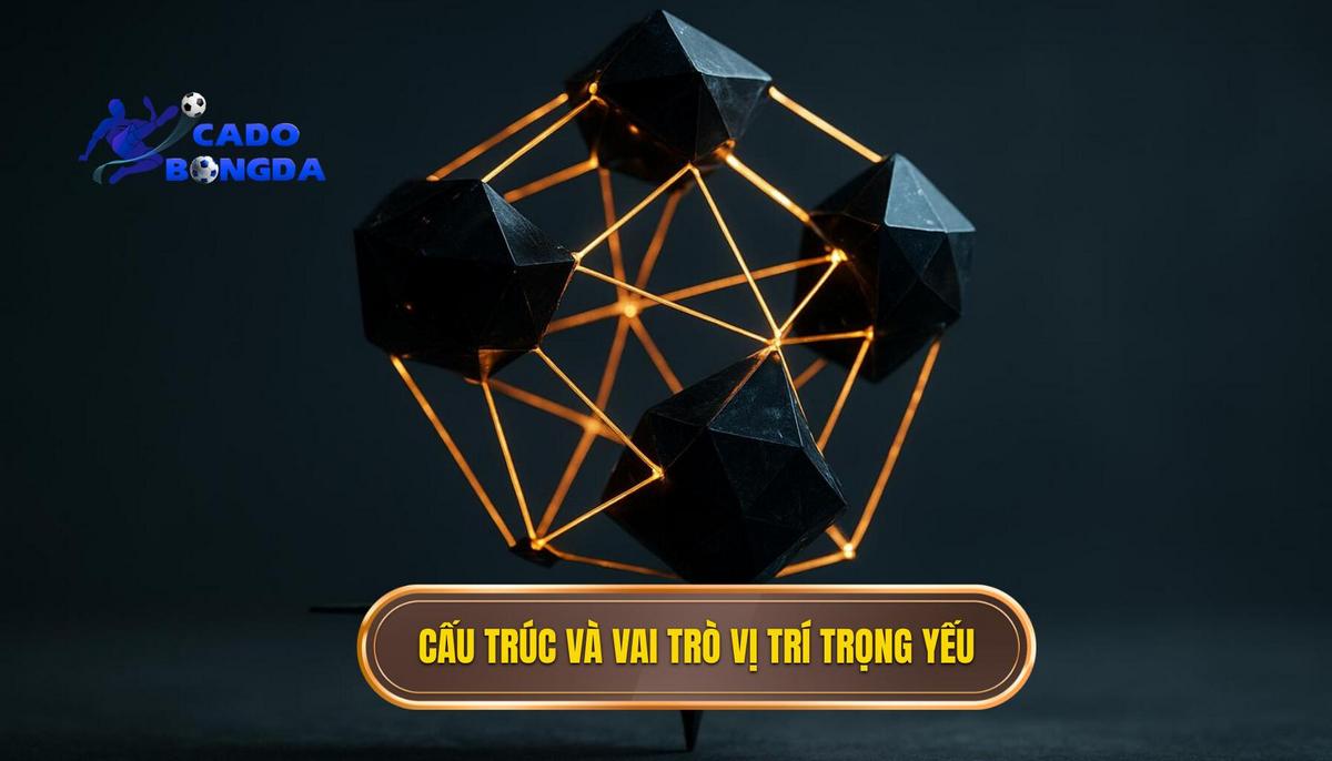 Cấu trúc vận hành và vai trò của các vị trí trọng yếu