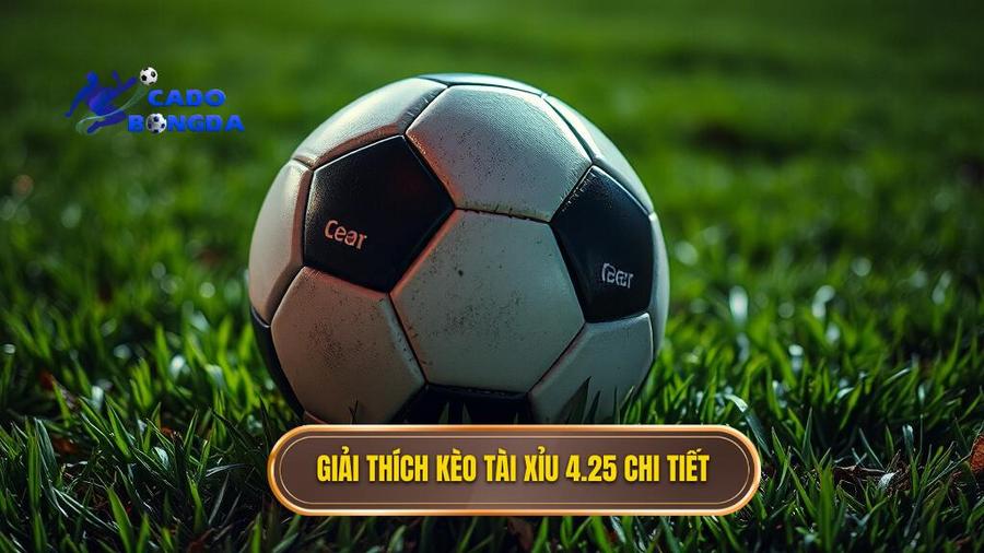 Kèo tài xỉu 4.25 là gì? Giải mã chi tiết và kinh nghiệm chinh phục kèo 4 1/4 1 Giải thích kèo tài xỉu 4.25 chi tiết