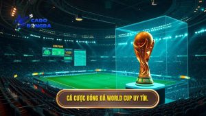 Cá cược bóng đá World Cup: Kinh nghiệm soi kèo từ chuyên gia