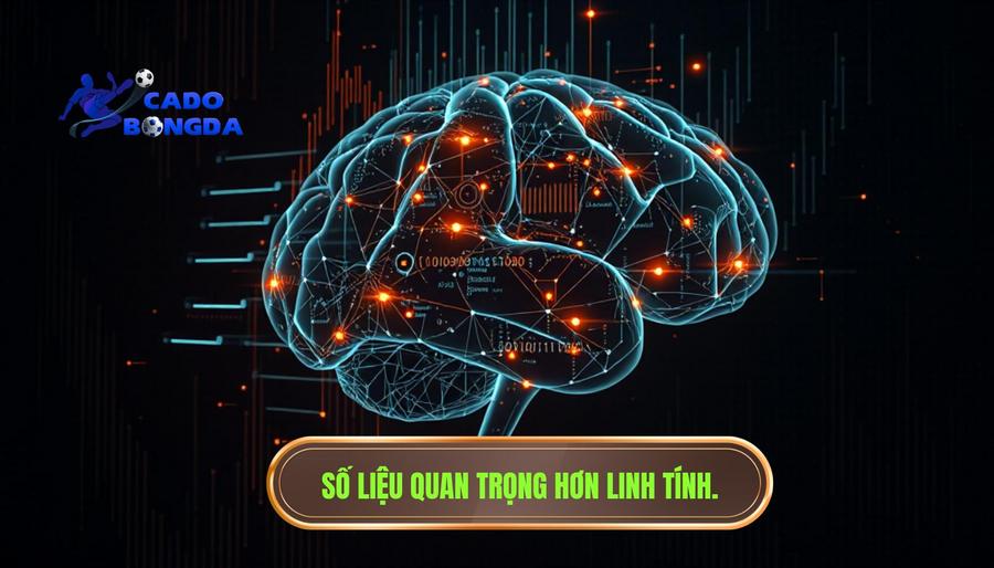 Đừng tin 100% vào cảm giác: Cái bẫy ngọt ngào trong cá độ bóng đá 2 Tại sao số liệu luôn quan trọng hơn linh tính?