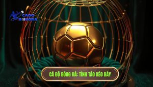 Kèo đẹp đôi khi là cái bẫy