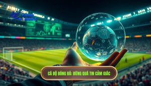 Đừng tin 100% vào cảm giác