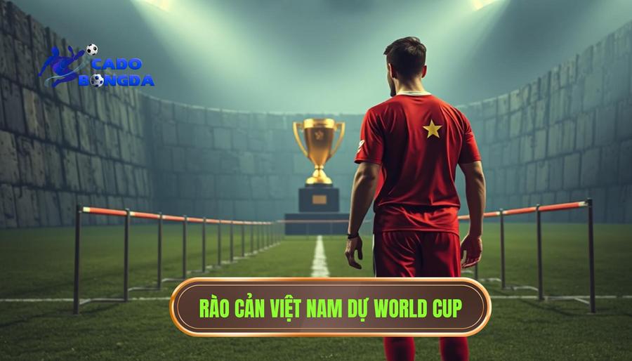 Việt Nam có cơ hội dự World Cup không? Phân tích chi tiết lộ trình và khả năng thực tế 3 Những rào cản ngăn bước Việt Nam tới World Cup